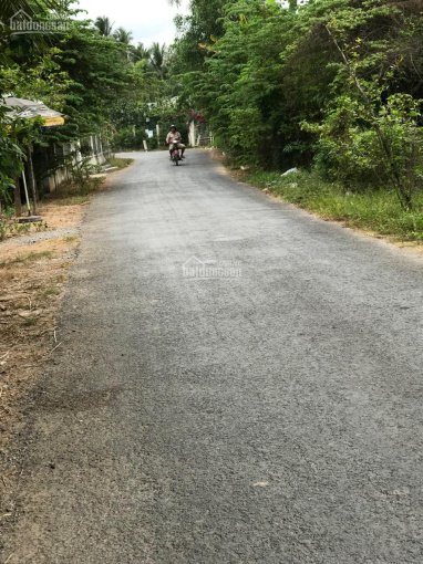 BÁN GẤP đất mặt tiền lộ nhựa tại xã Tân Thành Bình, Mỏ Cày Bắc, Bến Tre