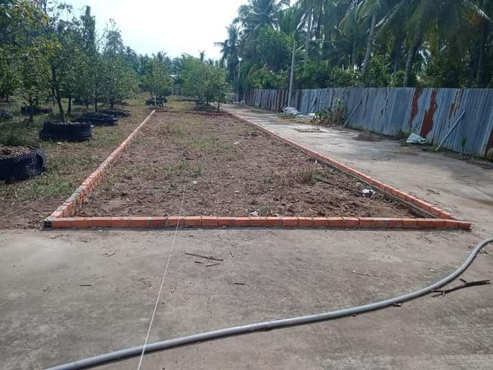 Đất 100m2 thổ cư toàn bộ, gần trường cấp 2 An Khánh, Châu Thành, Bến Tre