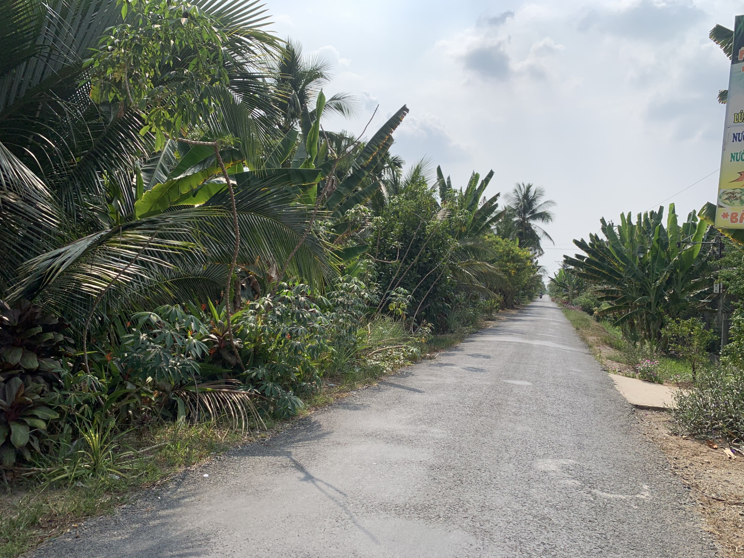Chính chủ bán đất Long Hoà, nền 2 mt đường 134m2 có 50m2 thổ cư, gần KCN Phú Thuận, Bình Đại